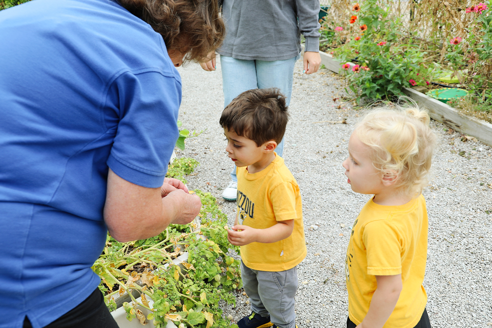 A gardener shows two young children a plant in an outdoor garden space.